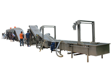 Ligne de traitement entièrement automatique de lavage et de séchage des raisins secs