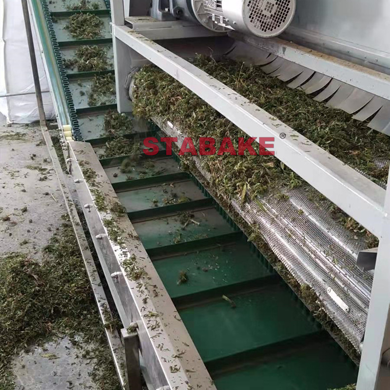 mmexport1571785248409副本