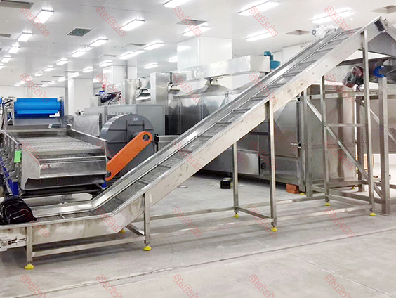 Ligne de production de frites surgelées en Egypte